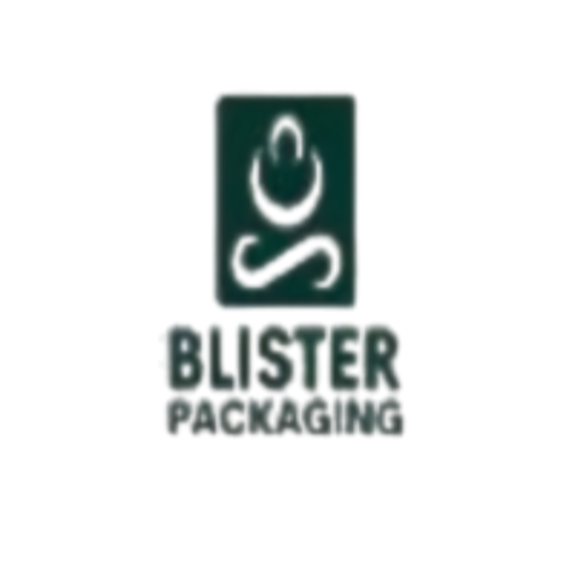 Ningzhi Blister Packaging Logo