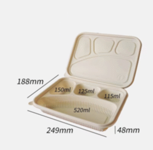 La protection de l’environnement jetables dégradable Boîte à lunch pour emporter la vaisselle de table contenant des aliments