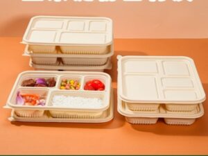 Fast Food Containers
