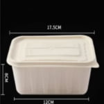 Biodegradable Corn Starch Take Away Food Container  Eco Friendly Disposable Lunch Box Manufacturer