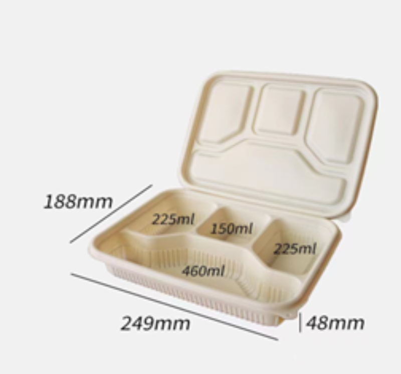 La protection de l’environnement jetables dégradable Boîte à lunch pour emporter la vaisselle de table contenant des aliments