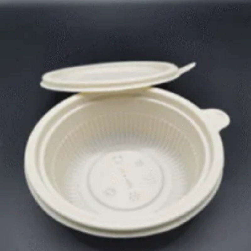 Biodegradable Corn Starch Take Away Food Container  Eco Friendly Disposable Lunch Box Manufacturer