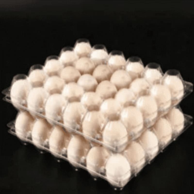 Egg blister Tray Manufacturer Eco-friendly Blister Packaging with Customizable Shapes