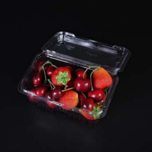 Blister Box with Lid