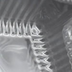 Food Grade Biscuit Packaging Blister Tray Manufacturer  Customizable Blister Packaging