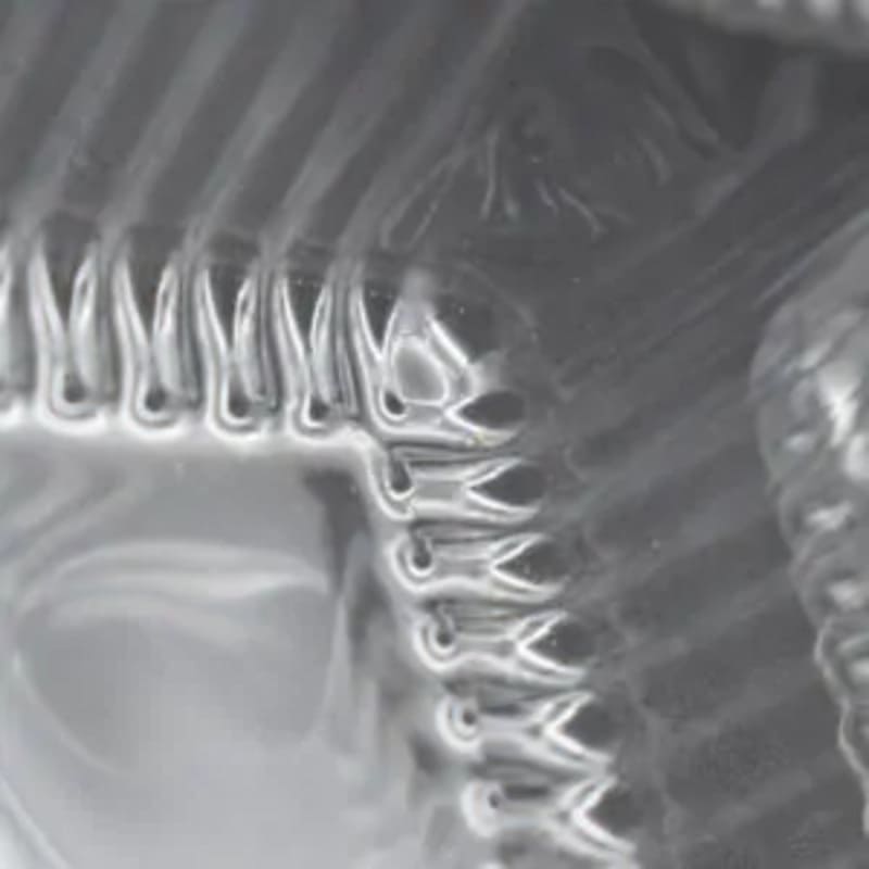 Food Grade Biscuit Packaging Blister Tray Manufacturer  Customizable Blister Packaging