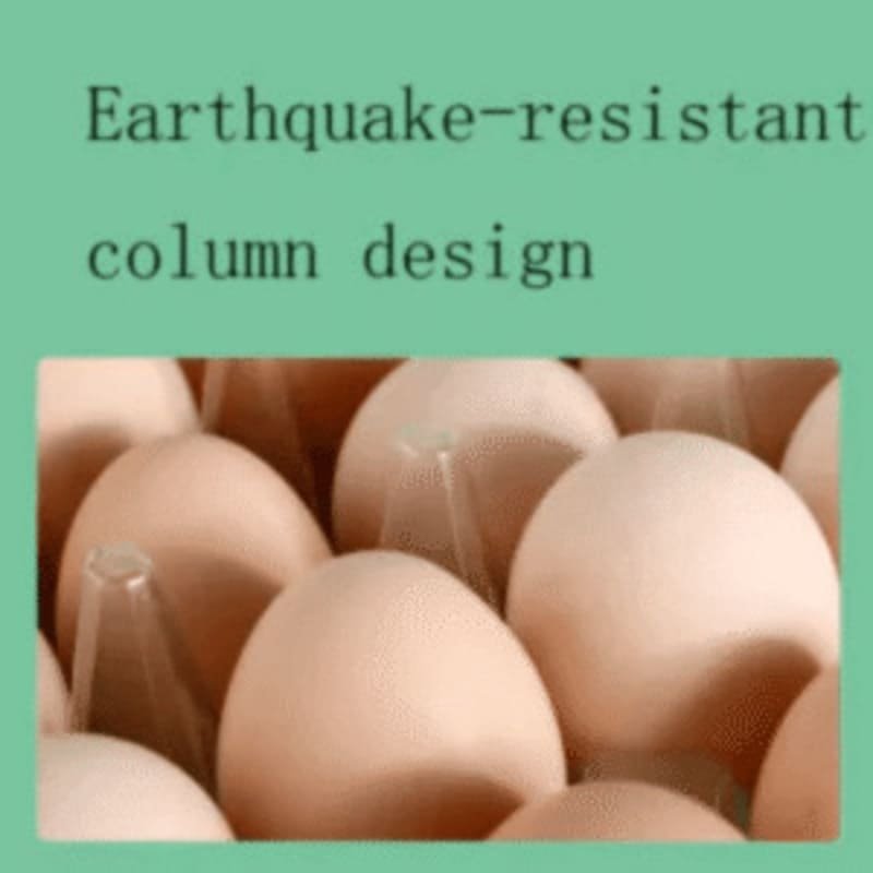 Egg blister Tray Manufacturer Eco-friendly Blister Packaging with Customizable Shapes