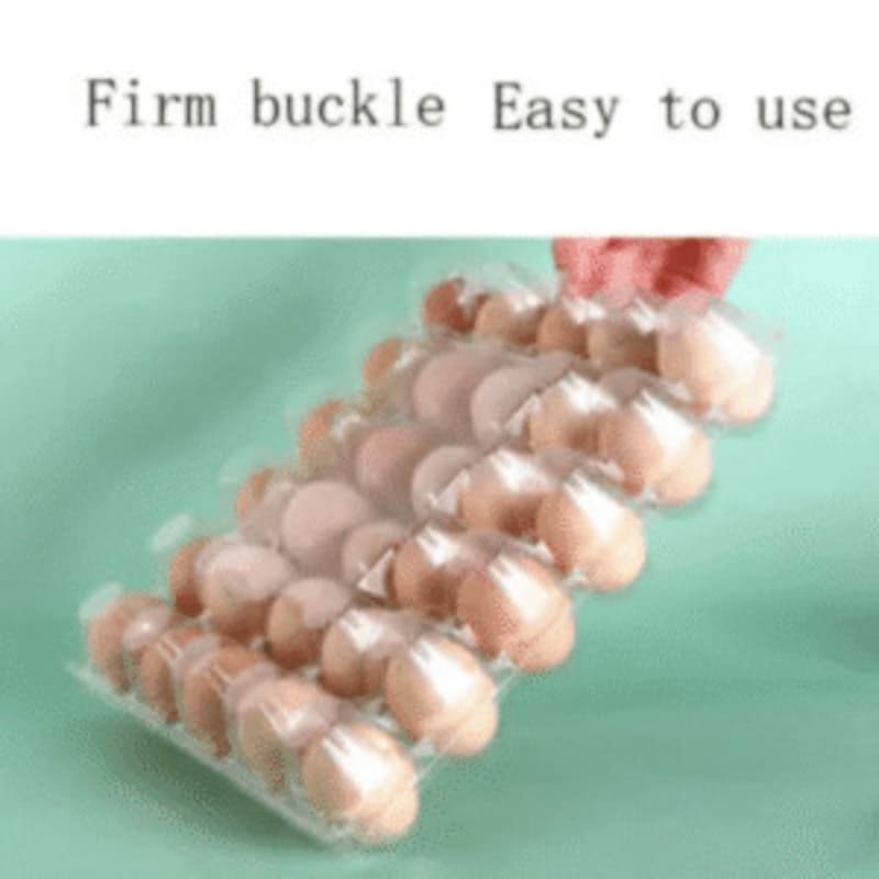 Egg blister Tray Manufacturer Eco-friendly Blister Packaging with Customizable Shapes