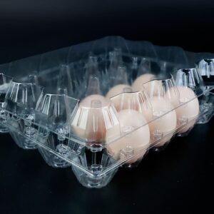  Egg blister Tray 