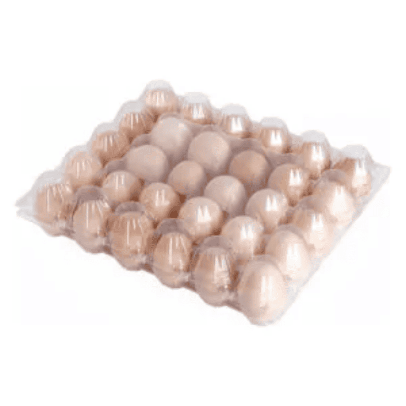 Egg blister Tray Manufacturer Eco-friendly Blister Packaging with Customizable Shapes