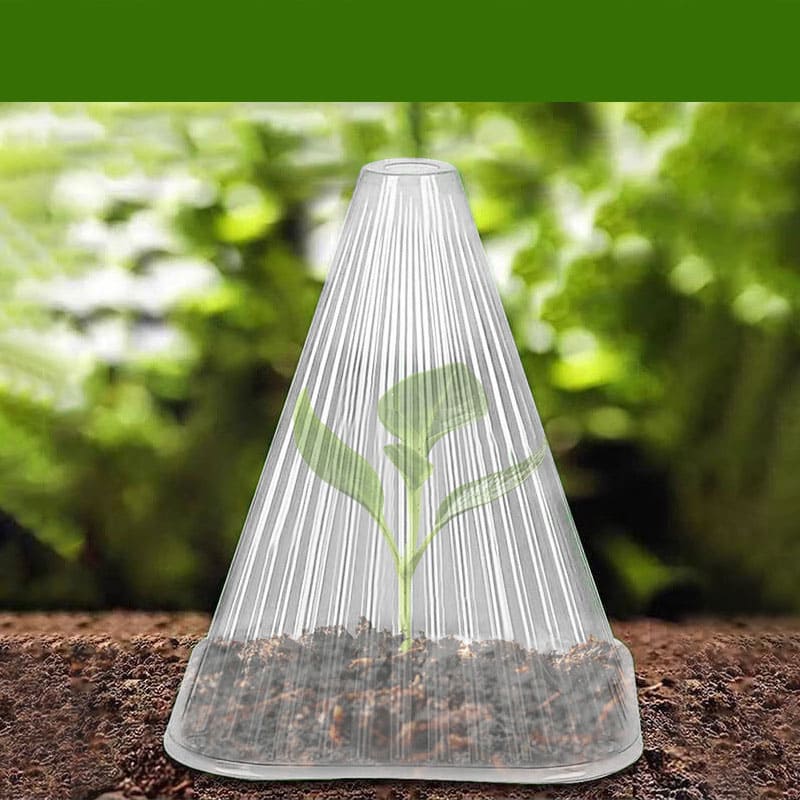 Custom PET Blister Packaging for Vegetable Seedling | OEM Factory China