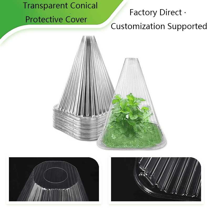 Custom PET Blister Packaging for Vegetable Seedling | OEM Factory China
