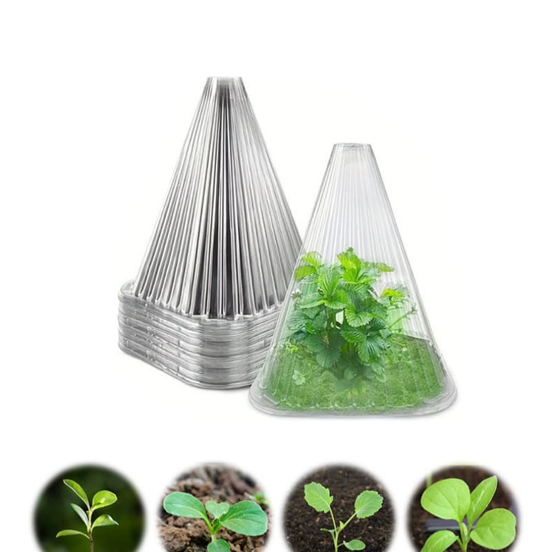 Custom PET Blister Packaging for Vegetable Seedling | OEM Factory China